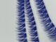 مژه فیشرآبی کاربنی