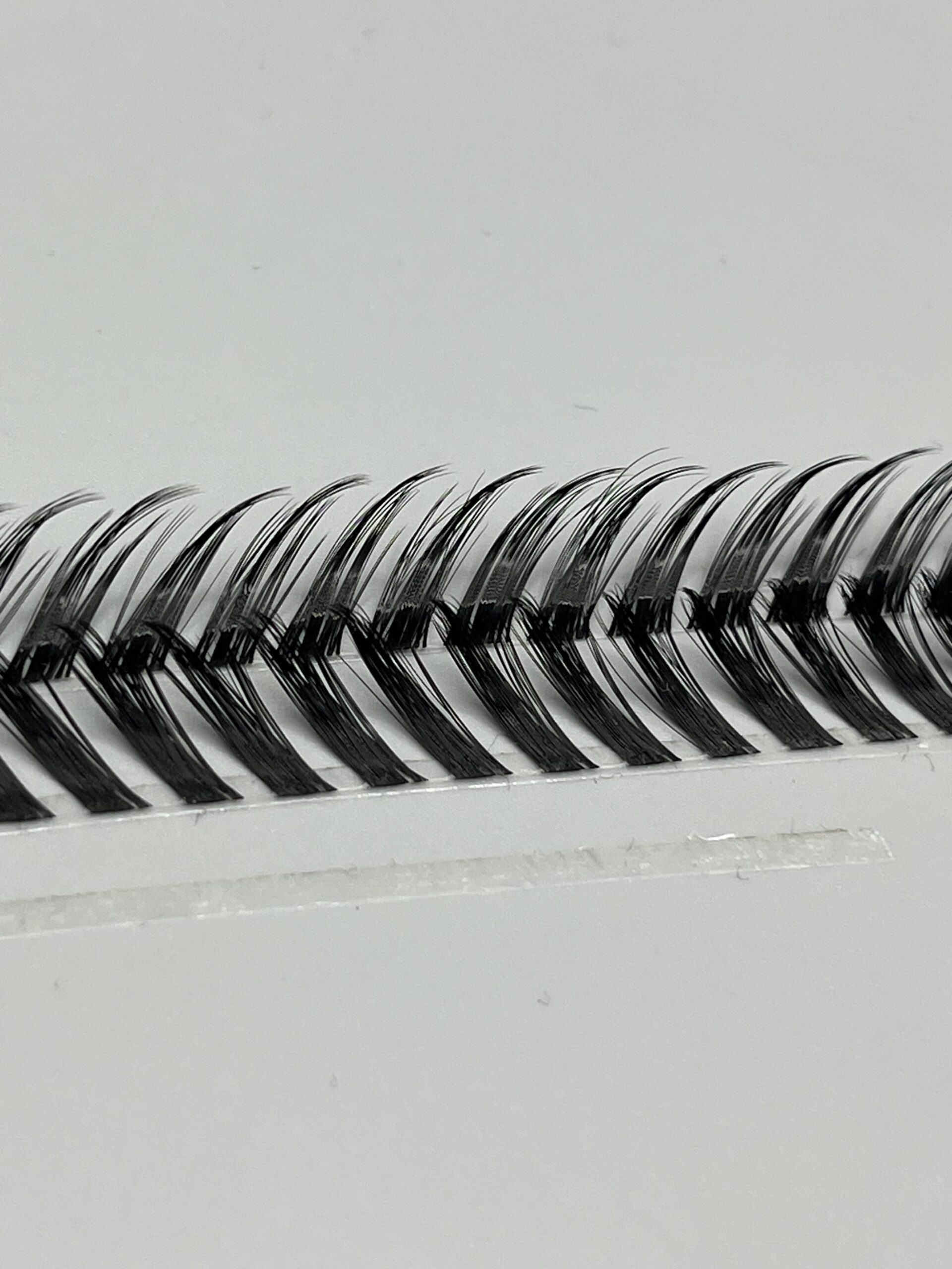فاکس روباهی کد 506