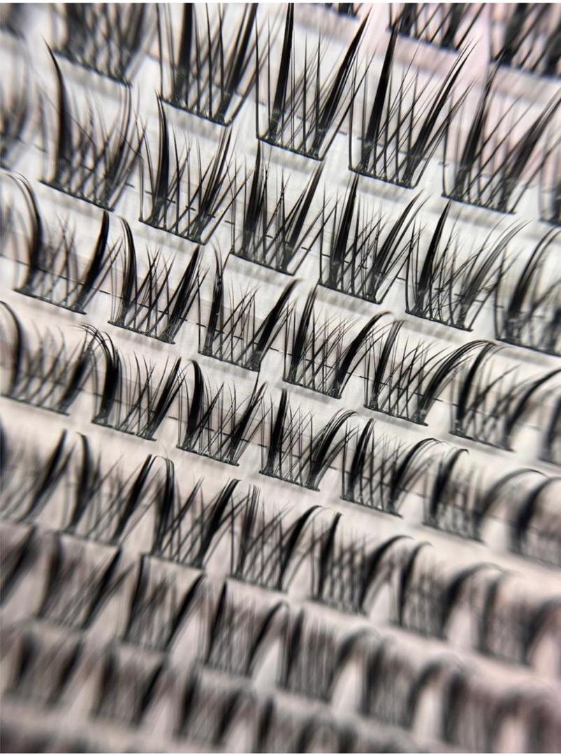 پالت مژه دم دلفینی FANDIZ